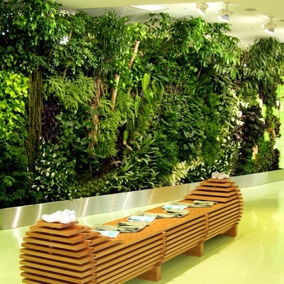 立体绿化设计与施工